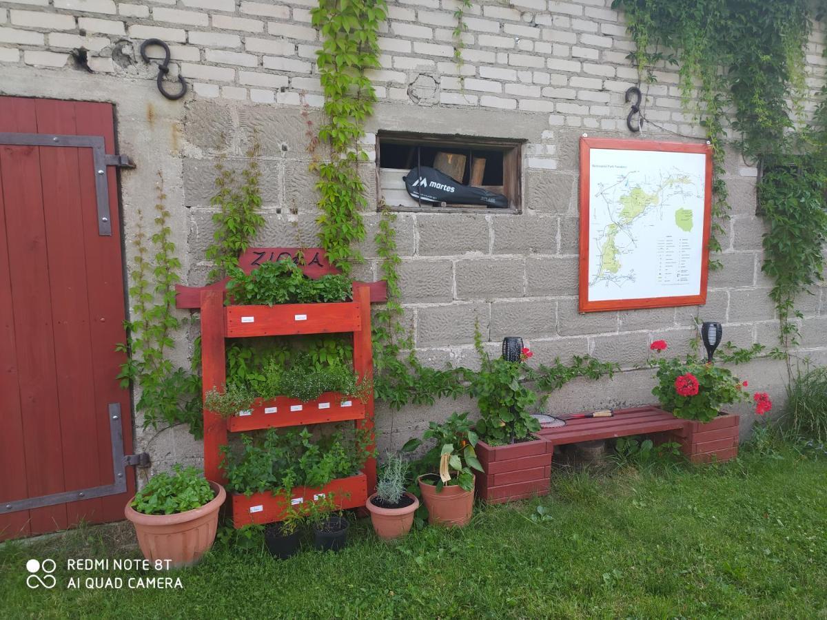 Dolistowka Apartamenty, Pole Namiotowe, Balia Z Jacuzzi, Ogrod Warzywny Dla Gosci, Plac Zabaw Dla Dzieci Goniadz Luaran gambar